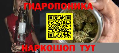 прущие крисы Канаш