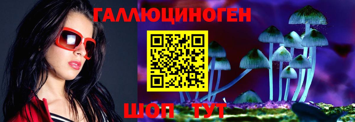 Галлюциногенные грибы Psilocybine cubensis Геленджик